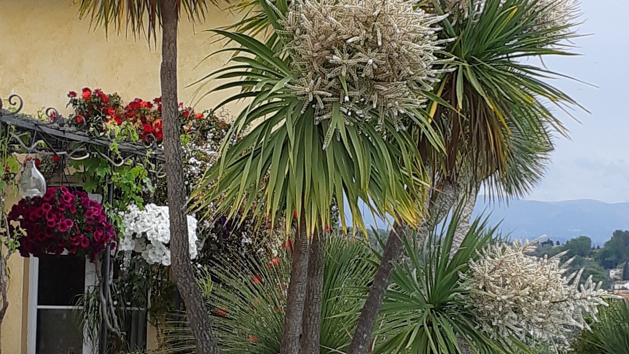 Photo of Outdoor in Valbonne