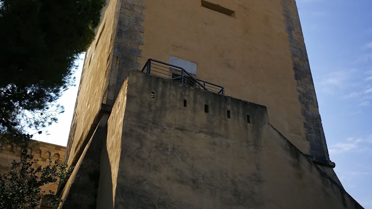 Photo of Others in Castiglioncello