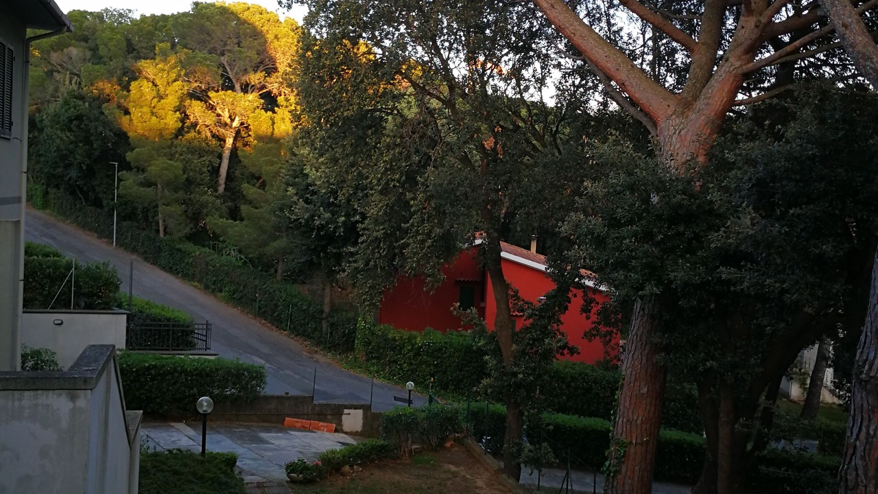 Photo of Outdoor in Castiglioncello