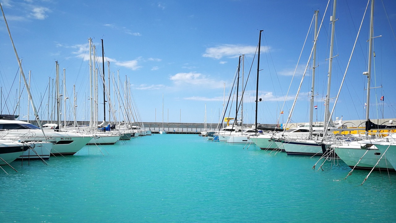 Photo of Others in Castiglioncello