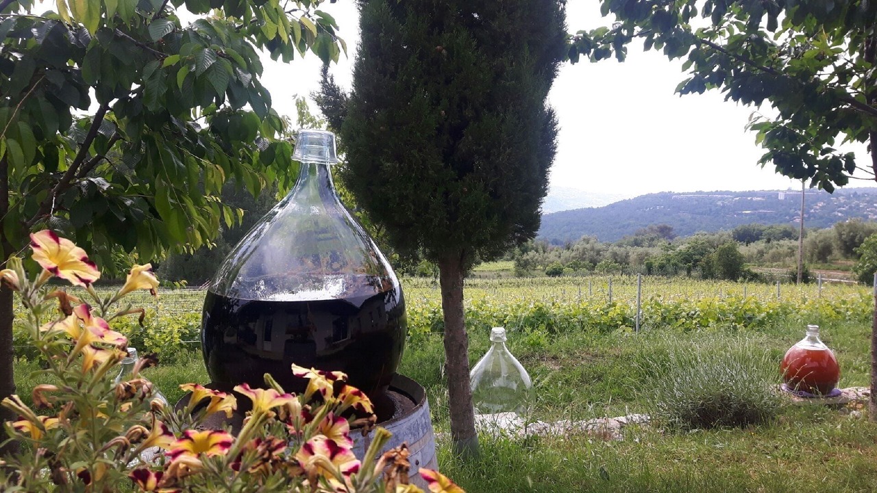 Photo of Outdoor in Vence