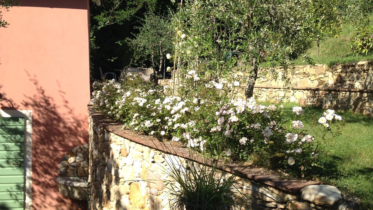 Photo of Outdoor in Montemagno