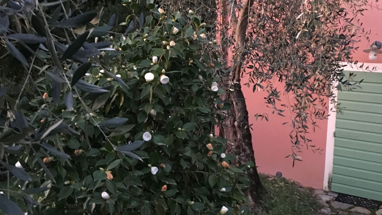 Photo of Outdoor in Montemagno