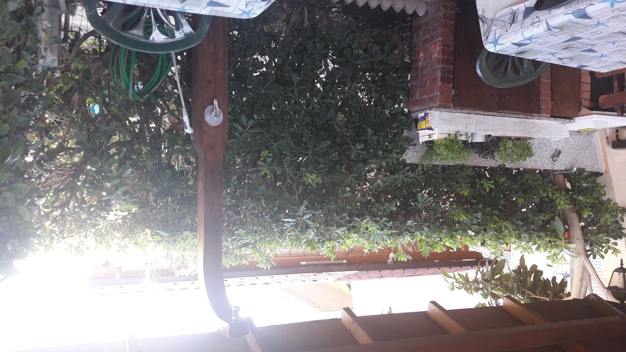 Photo of Outdoor in Vada