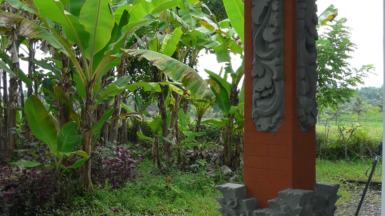 Photo of Outdoor in Kerambitan
