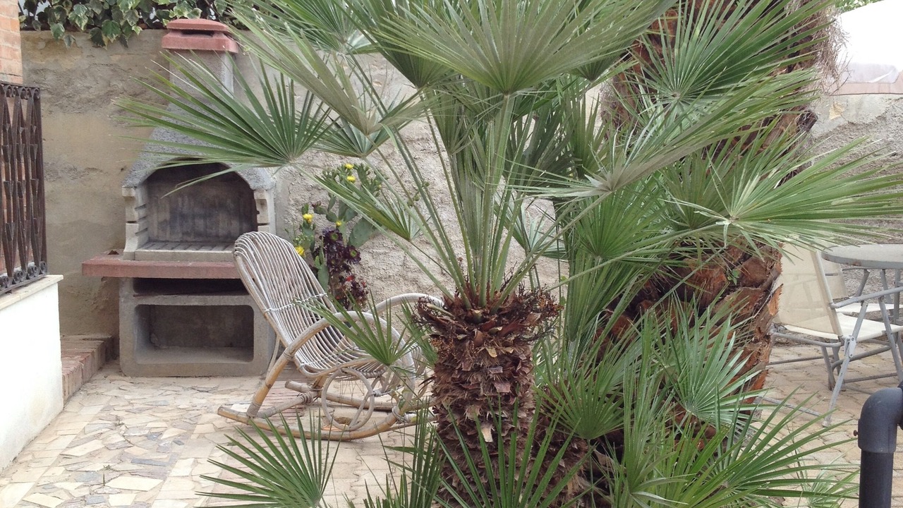 Photo of Patio Balcony in Noto Marina