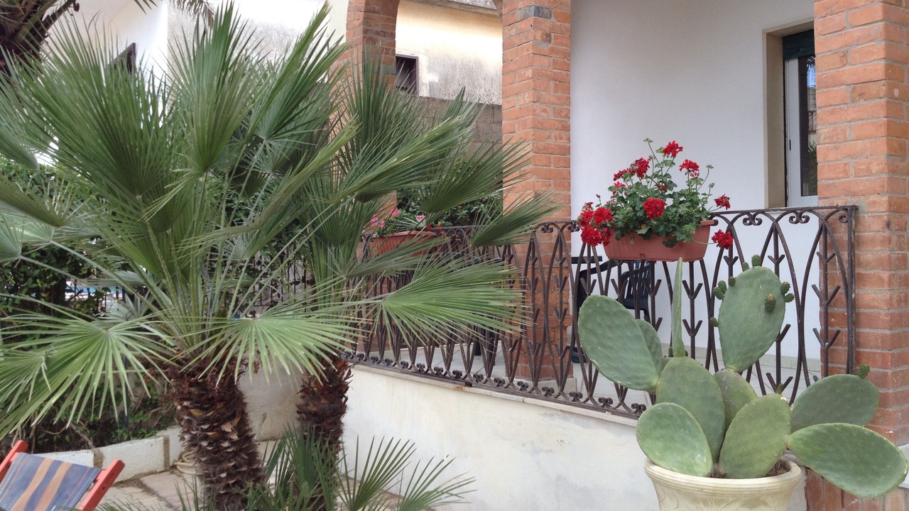 Photo of Outdoor in Noto Marina
