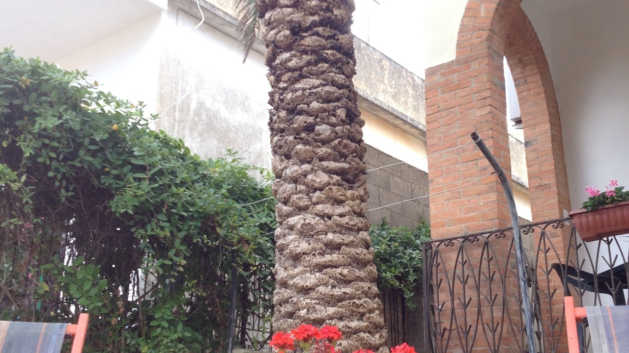 Photo of Outdoor in Noto Marina
