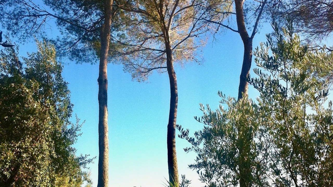 Photo of Outdoor in Frejus