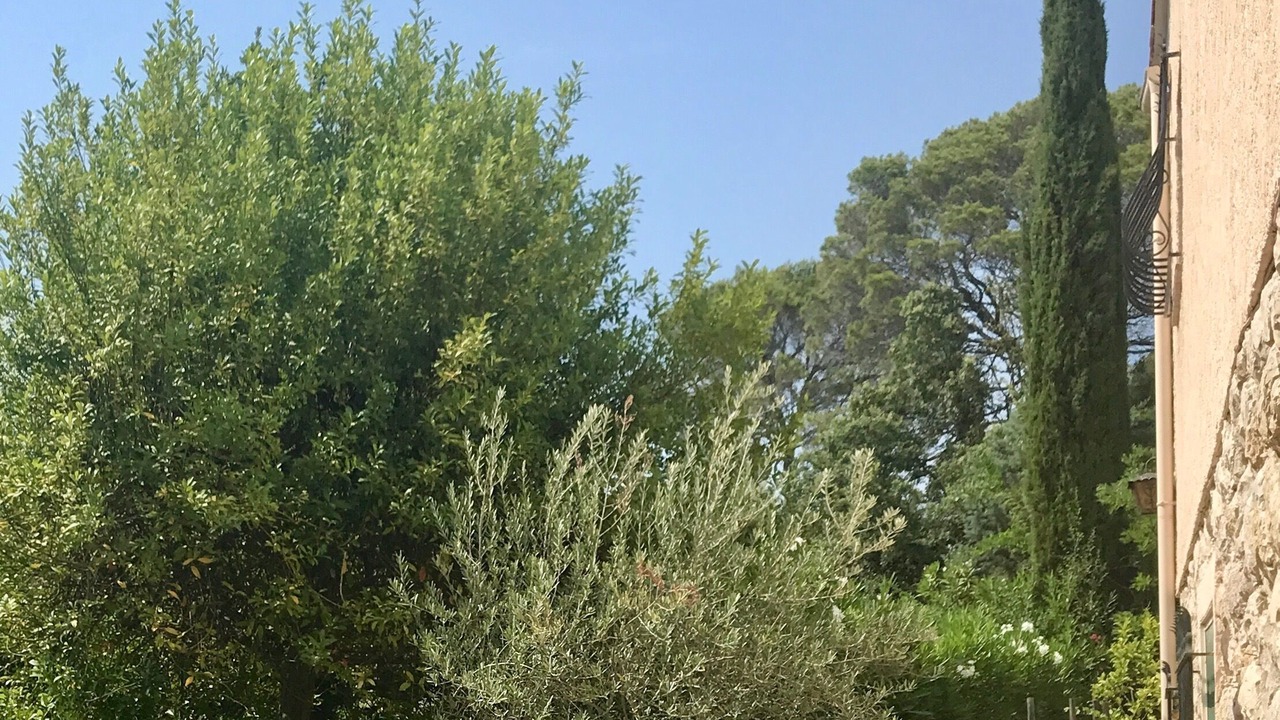 Photo of Outdoor in Frejus