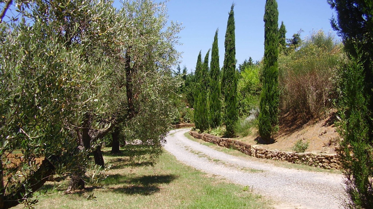 Photo of Outdoor in Collemezzano