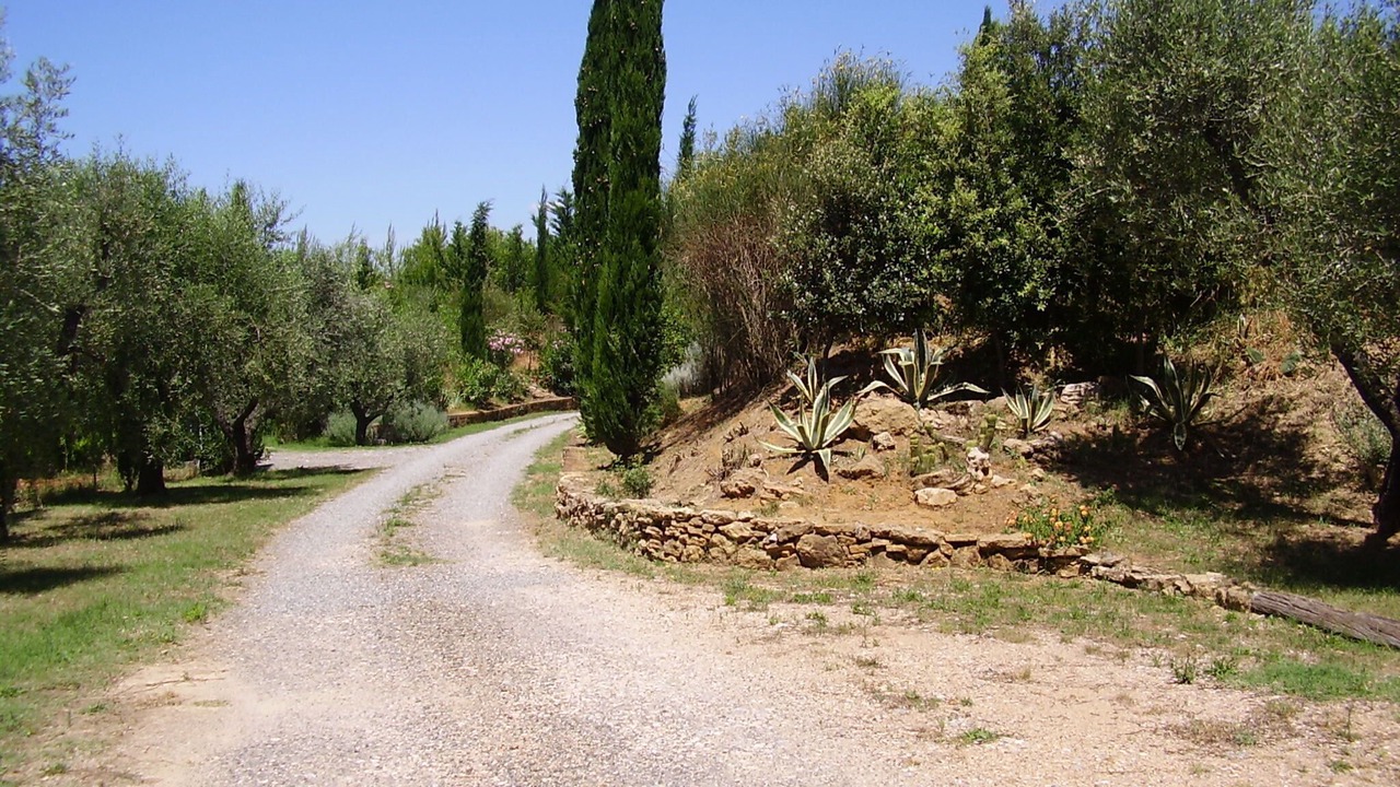 Photo of Outdoor in Collemezzano