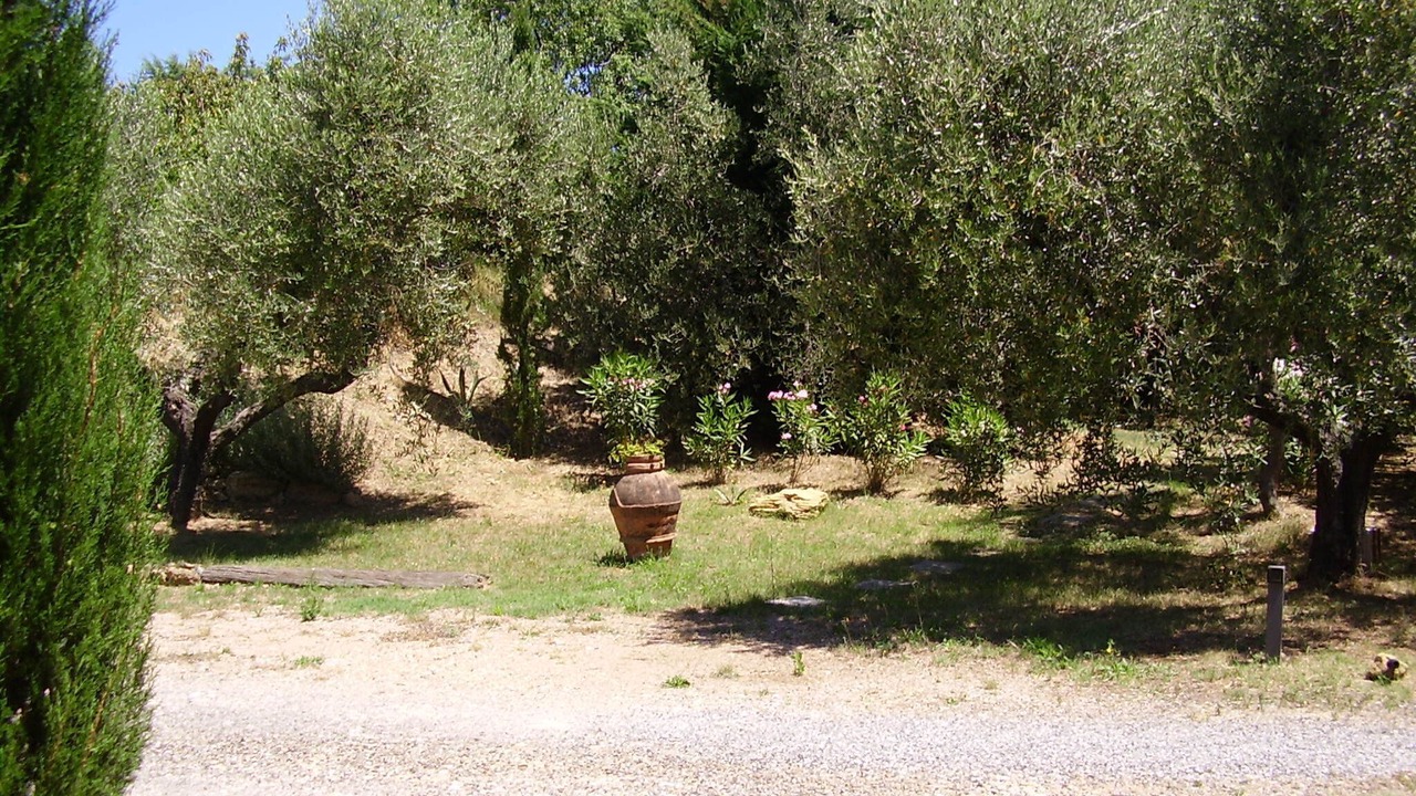 Photo of Outdoor in Collemezzano