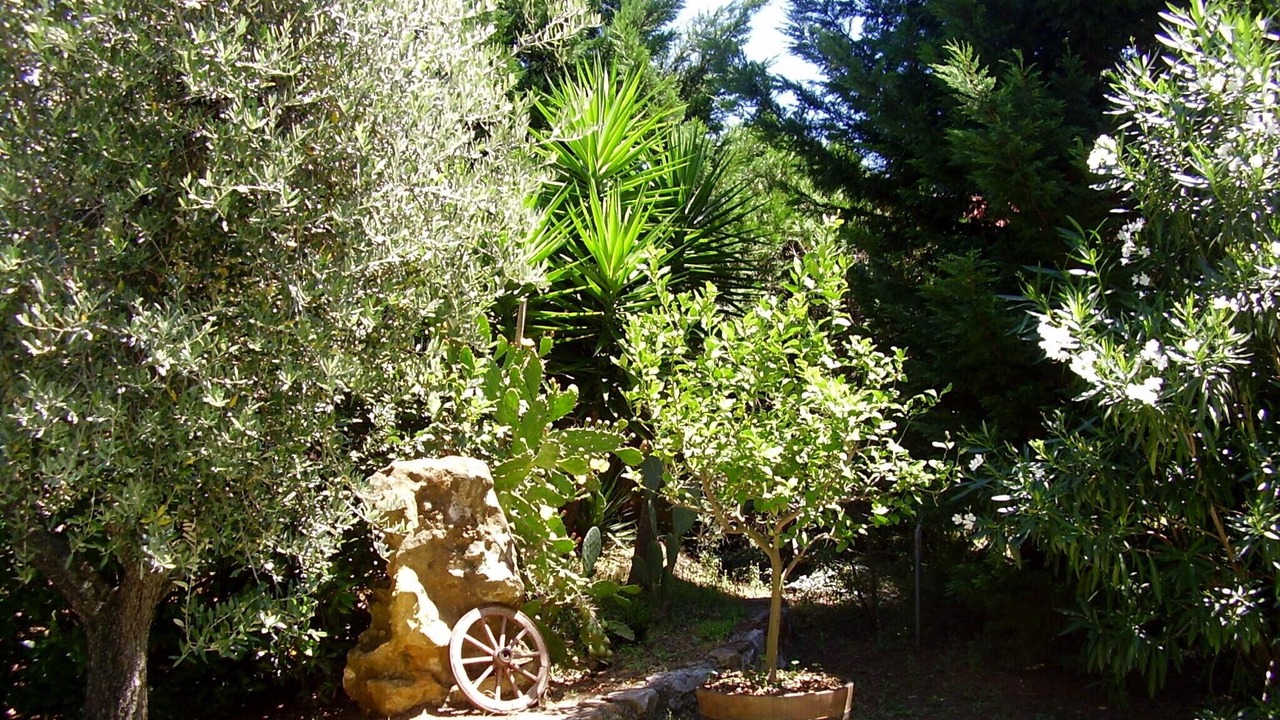 Photo of Outdoor in Collemezzano