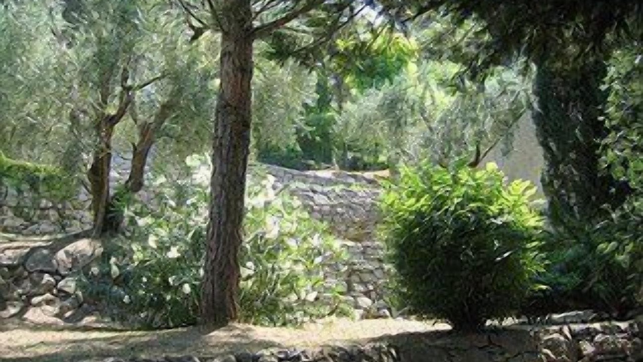 Photo of Outdoor in Auribeau-sur-Siagne