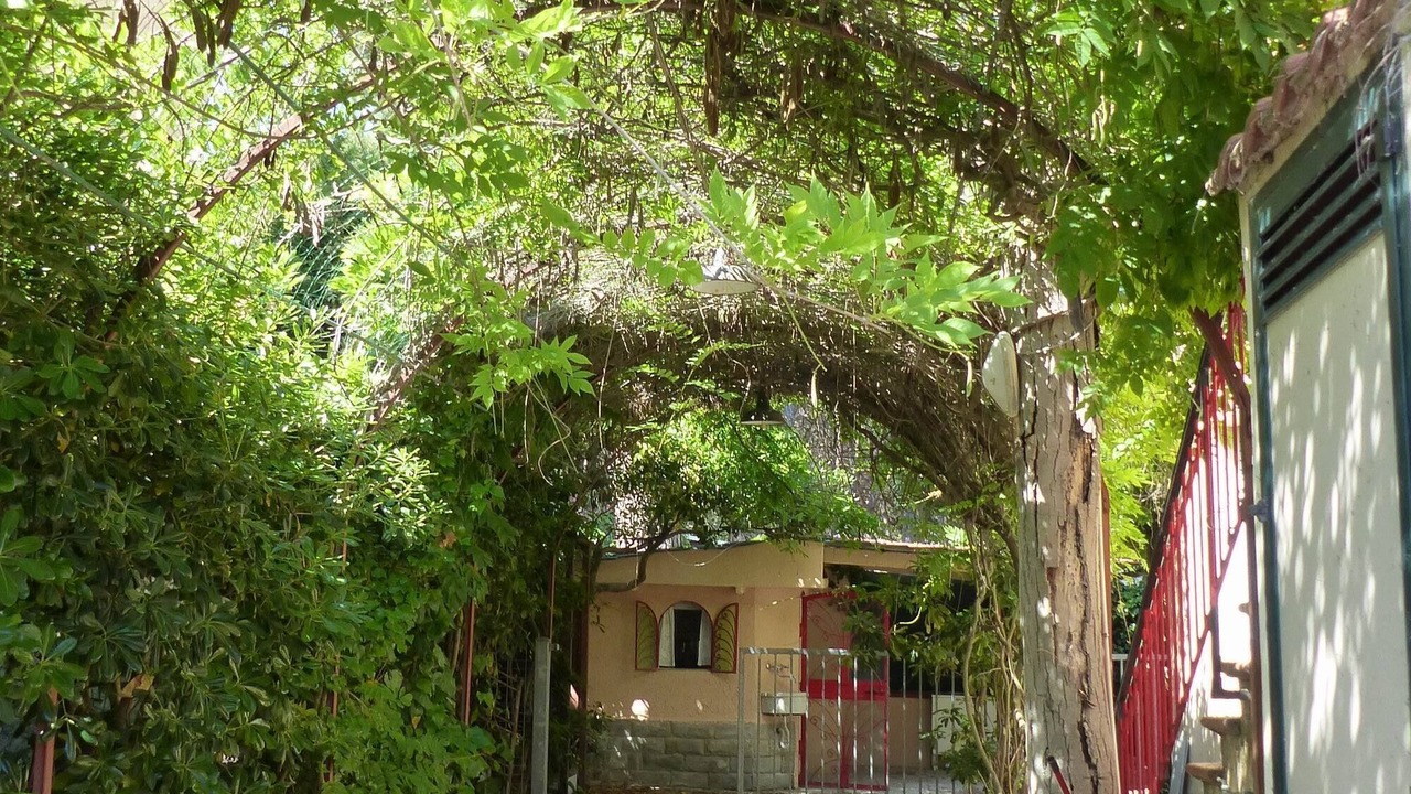 Photo of Outdoor in Mazzanta