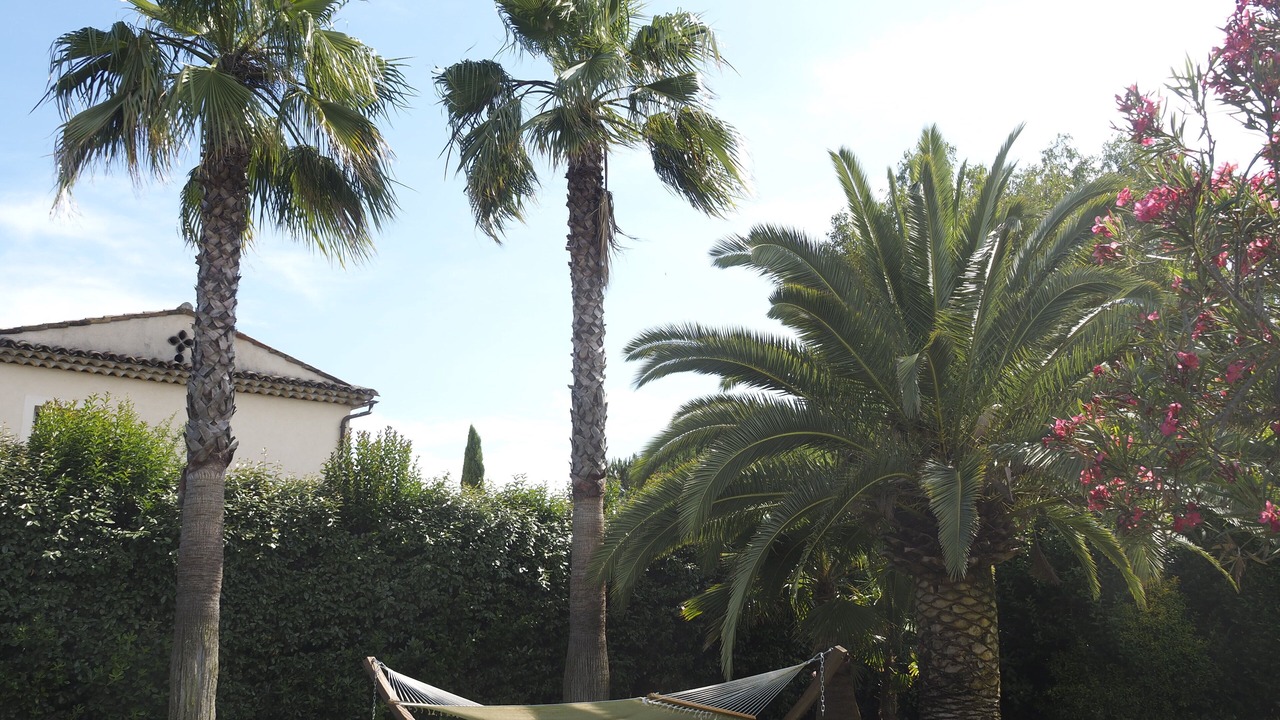 Photo of Outdoor in Mandelieu-La-Napoule