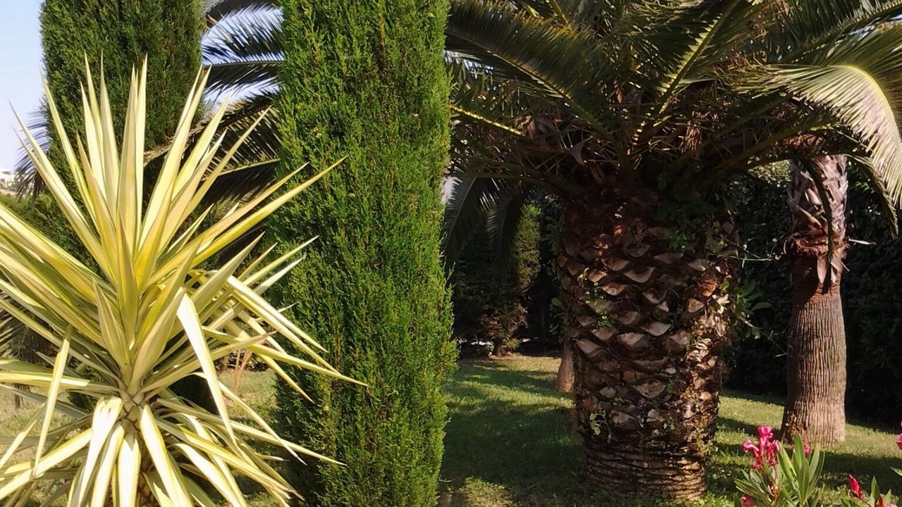 Photo of Outdoor in Mandelieu-La-Napoule