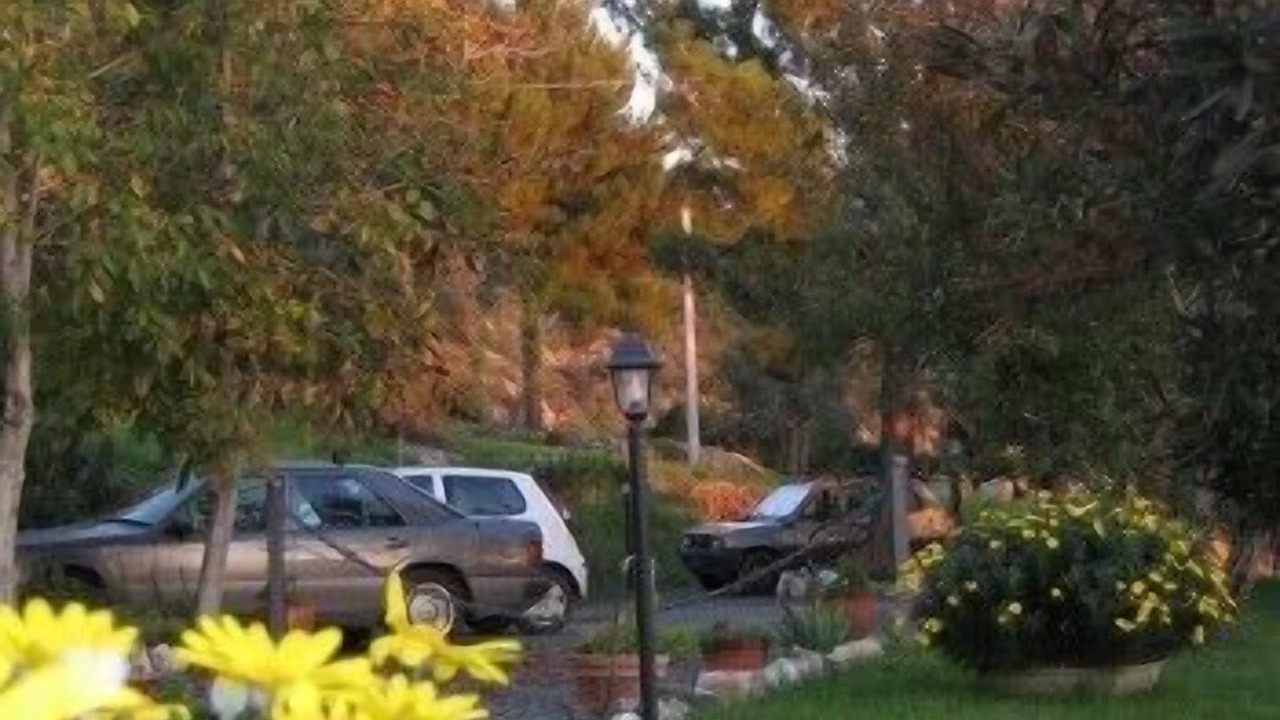 Photo of Outdoor in Pomaia