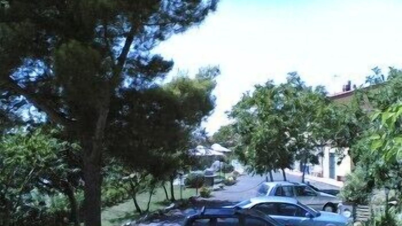 Photo of Others in Pomaia
