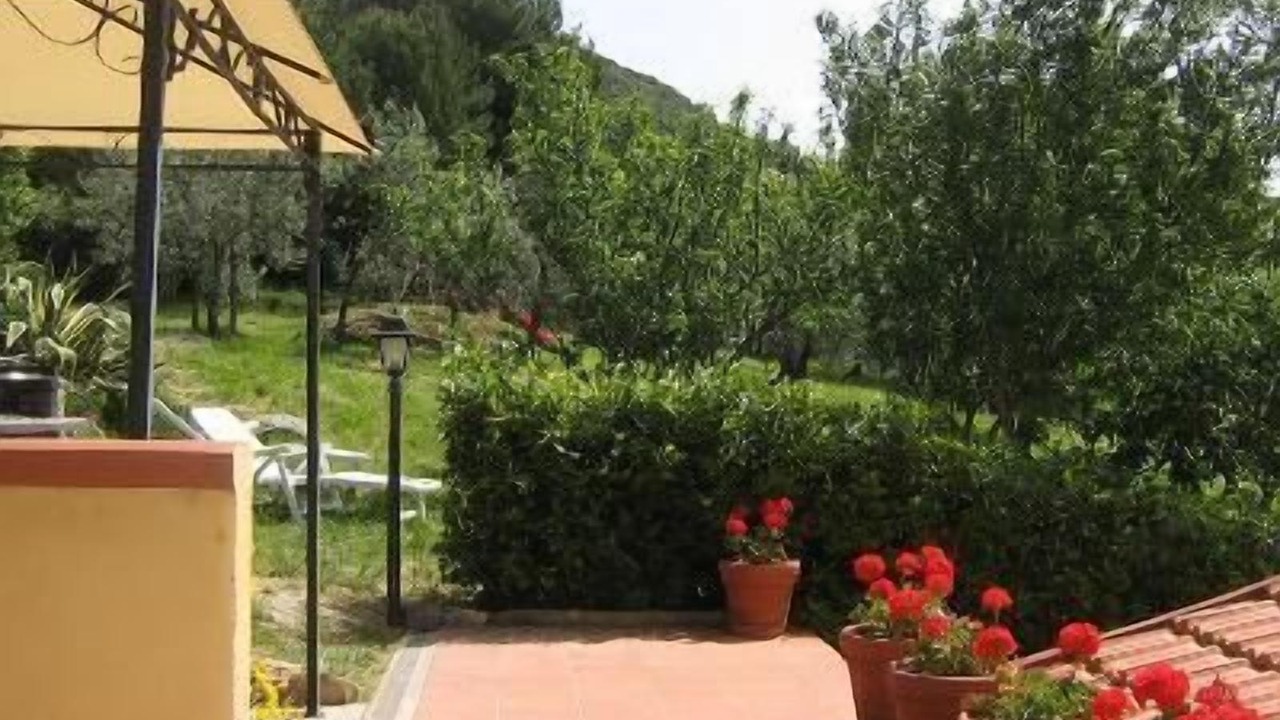 Photo of Outdoor in Pomaia