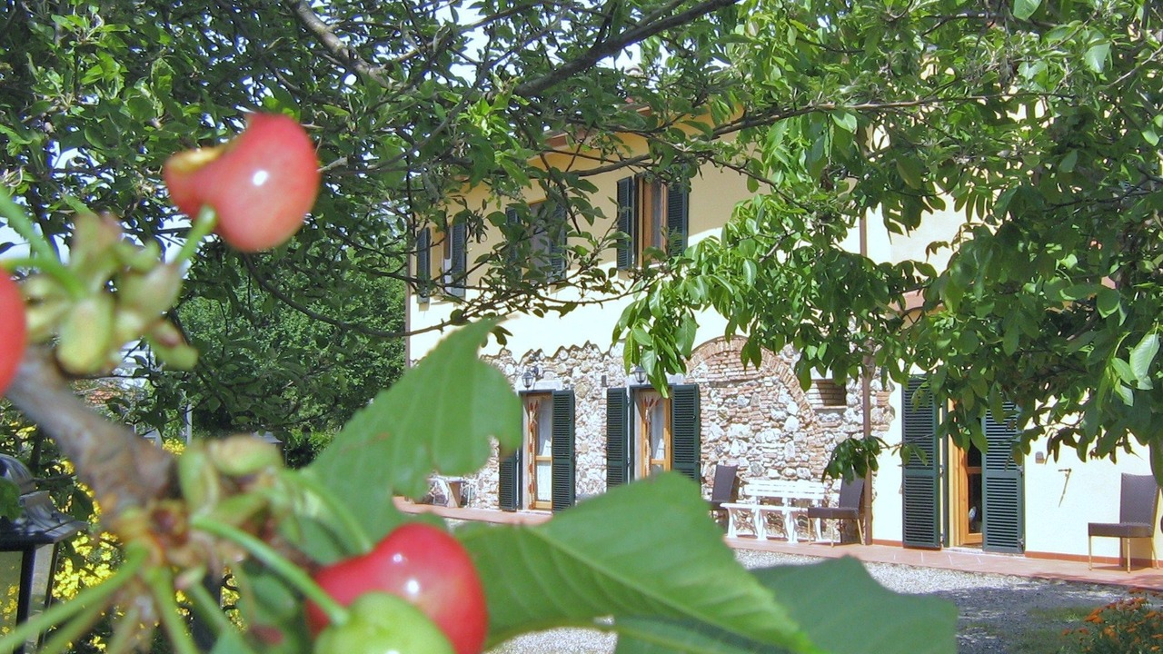 Photo of Outdoor in Pomaia