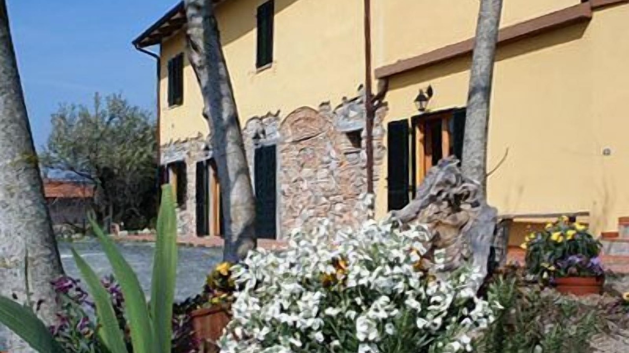 Photo of Outdoor in Pomaia
