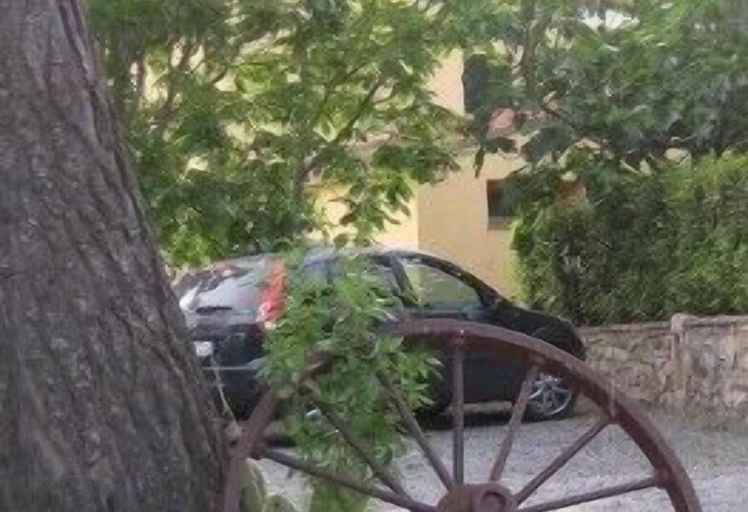 Photo of Outdoor in Pomaia