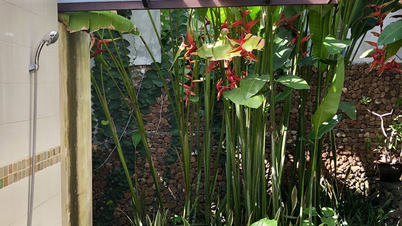 Photo of Bathroom in Padangbai