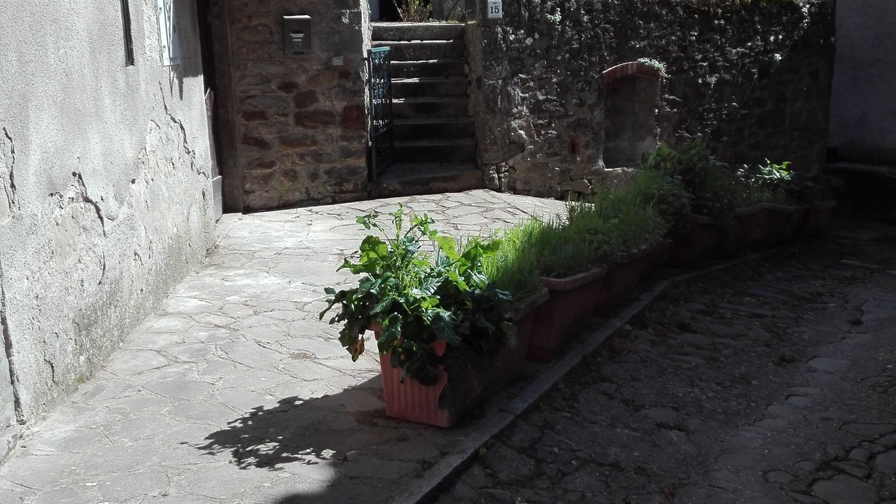 Photo of Outdoor in Benabbio