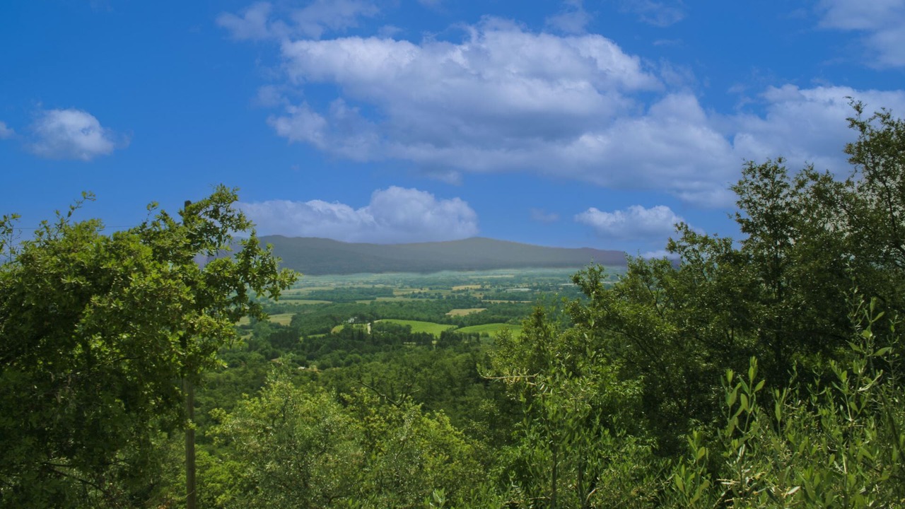 Photo of Others in Civitella in Val di Chiana