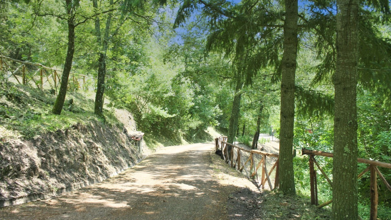 Photo of Others in Civitella in Val di Chiana