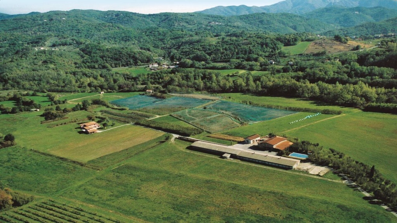 Photo of Outdoor in Gassano