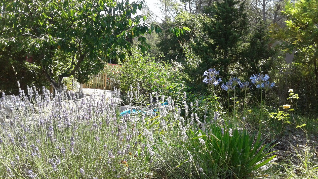Photo of Outdoor in Fayence