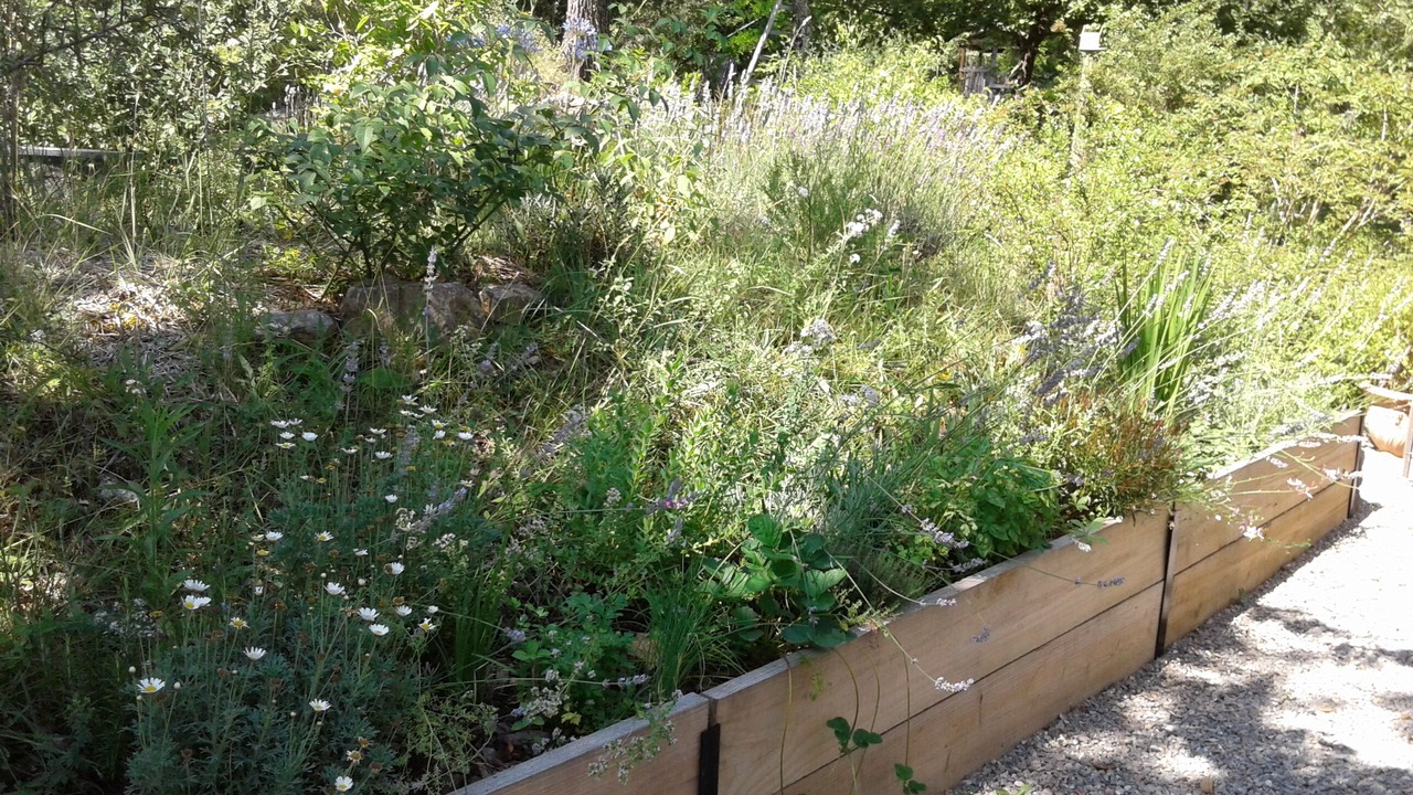 Photo of Outdoor in Fayence