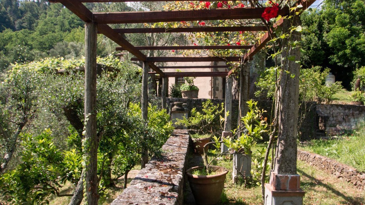 Photo of Outdoor in Camaiore