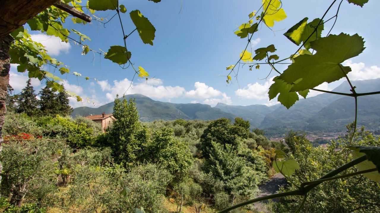 Photo of Others in Camaiore