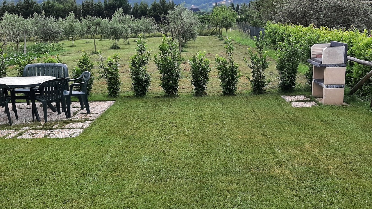 Photo of Outdoor in Camaiore