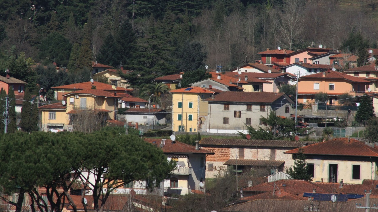 Photo of Outdoor in Camaiore