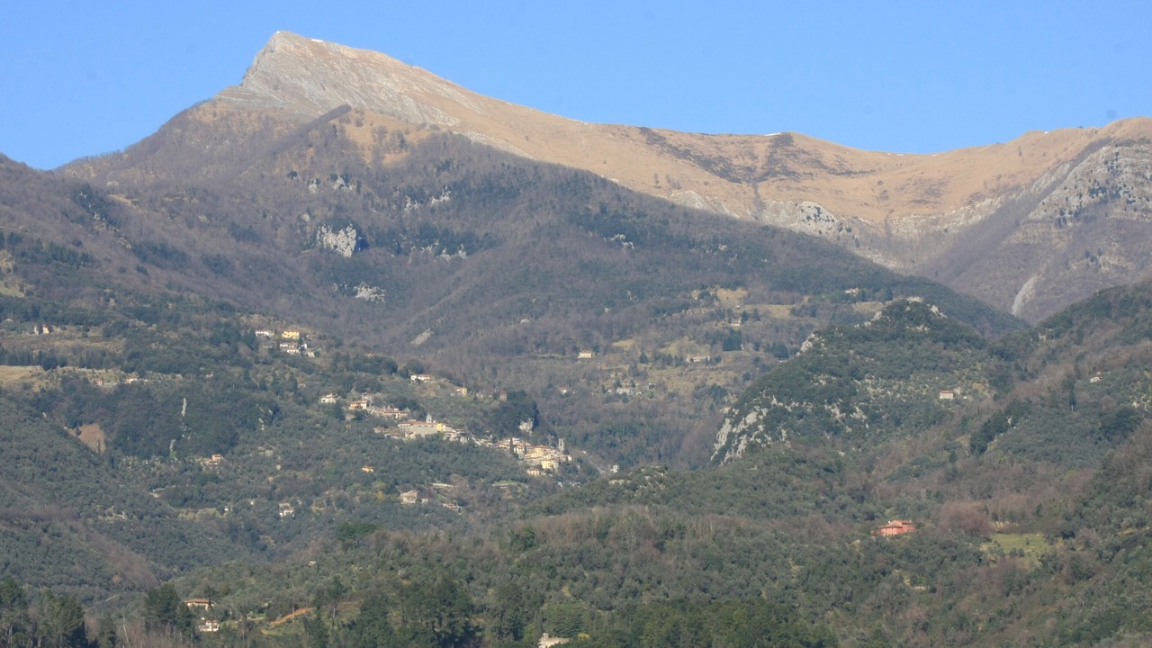 Photo of Outdoor in Camaiore