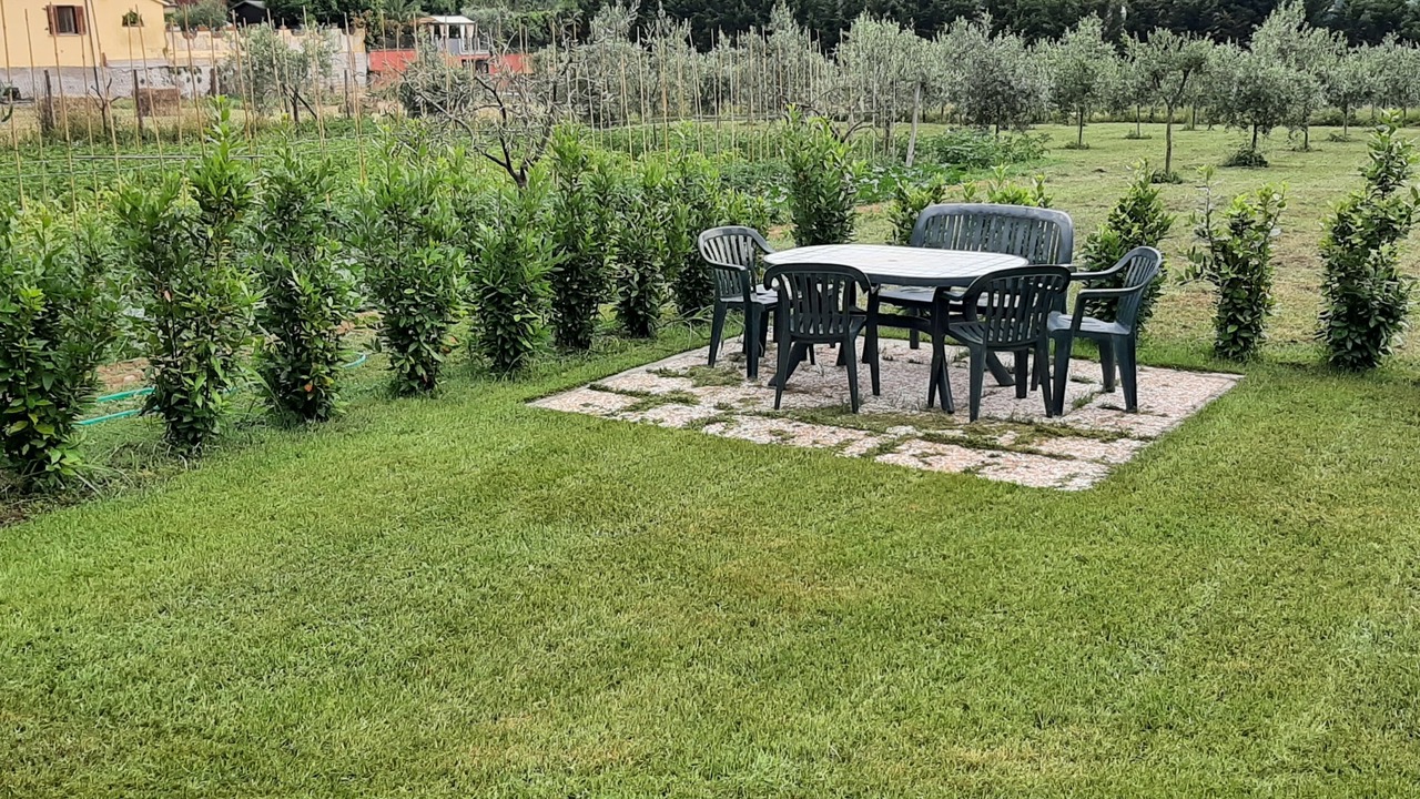 Photo of Outdoor in Camaiore