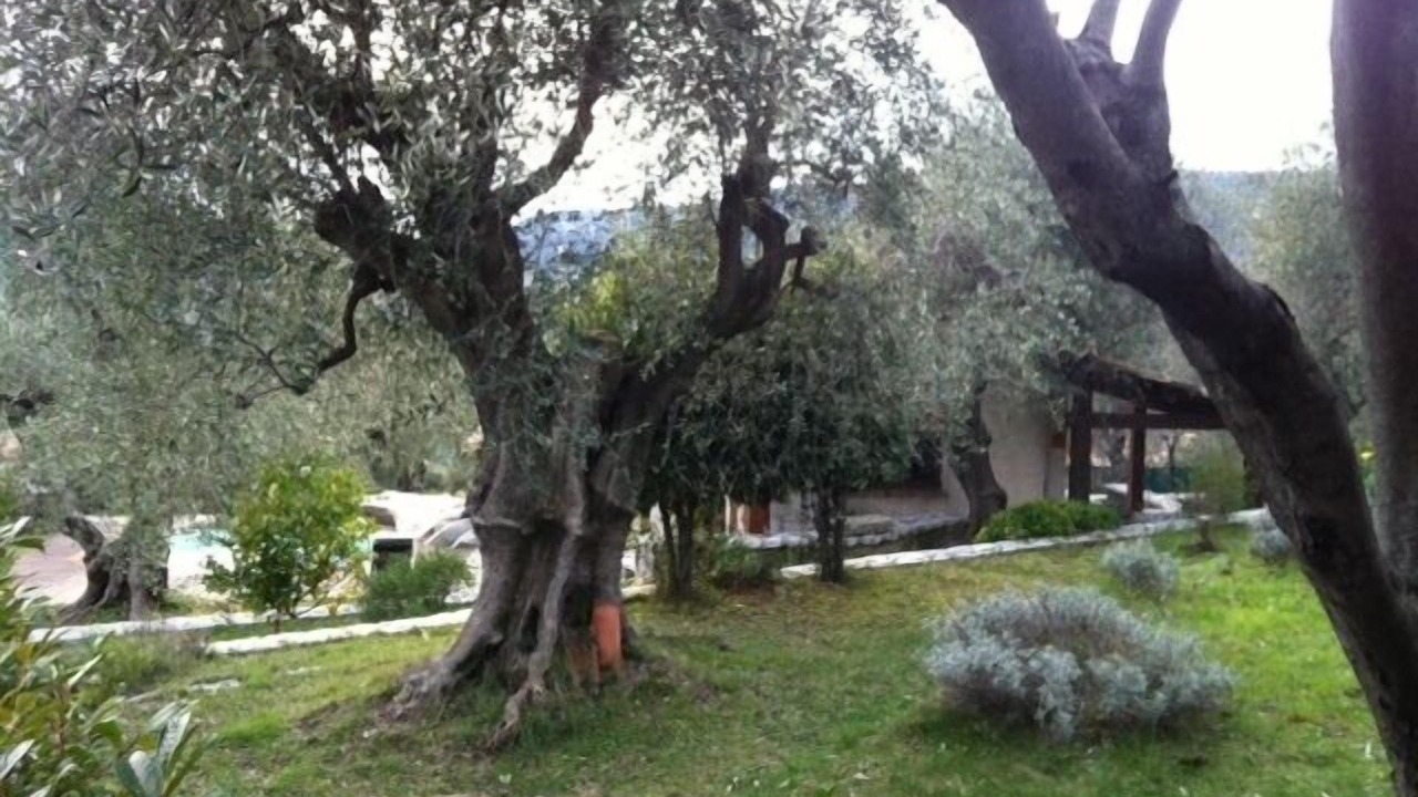 Photo of Outdoor in Berre-des-Alpes