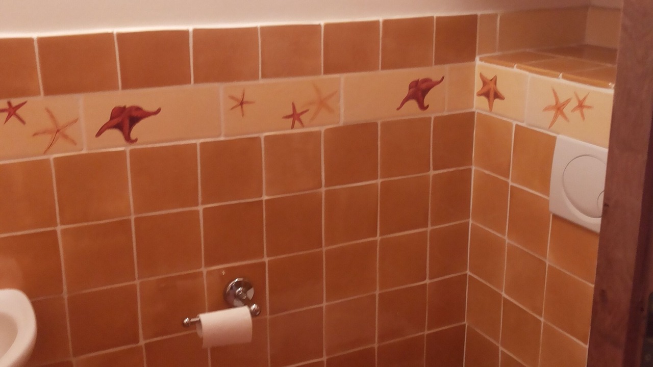 Photo of Bathroom in Villefranche-sur-Mer