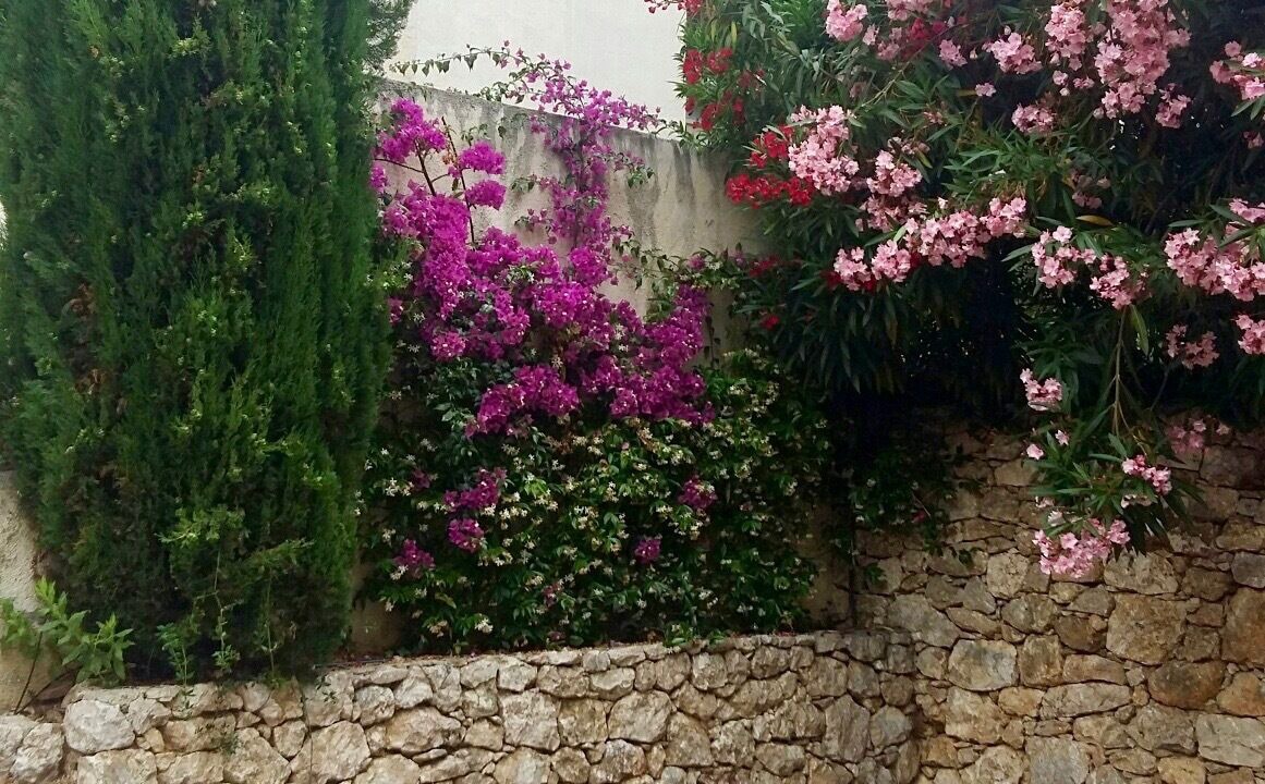 Photo of Outdoor in Roquebrune-Cap-Martin