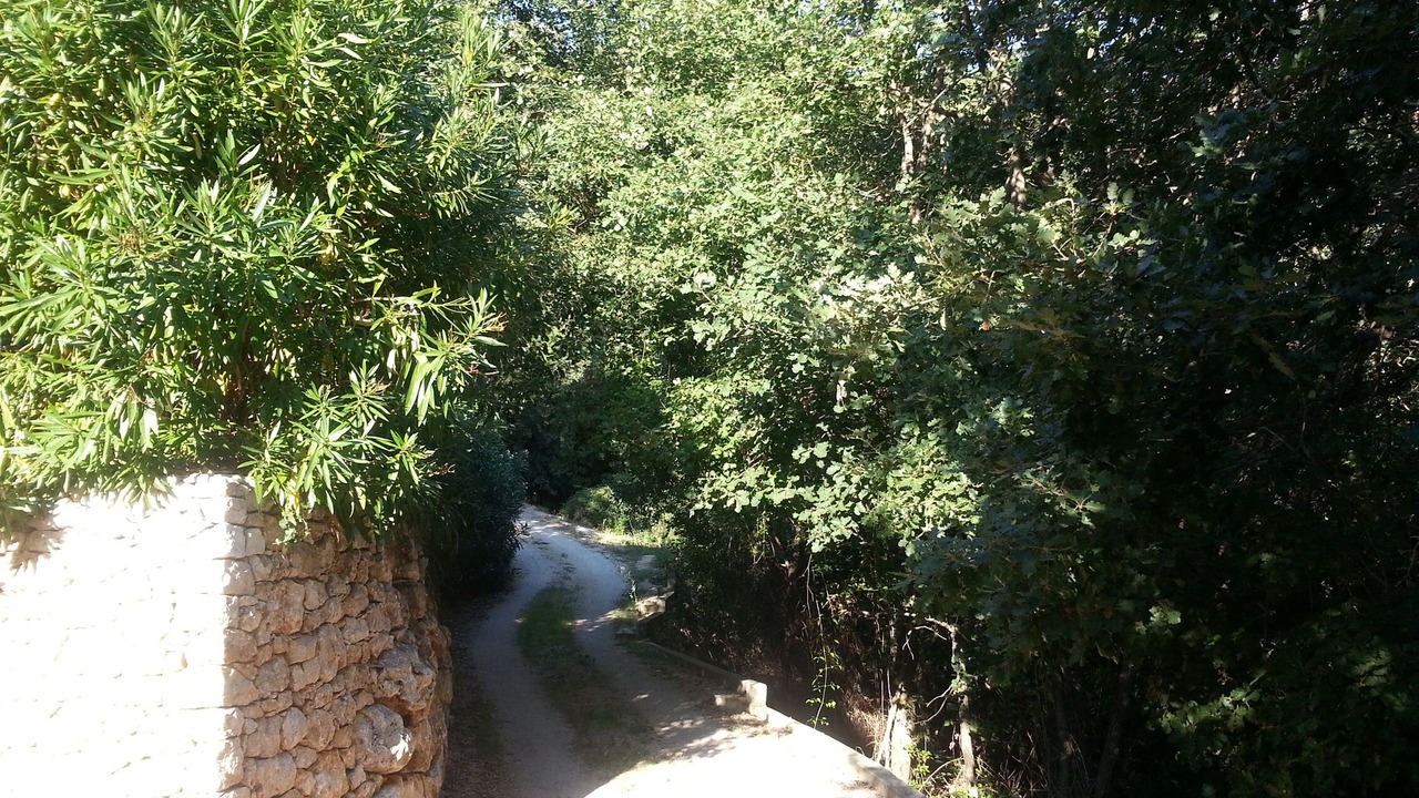 Photo of Outdoor in Roquebrune-Cap-Martin