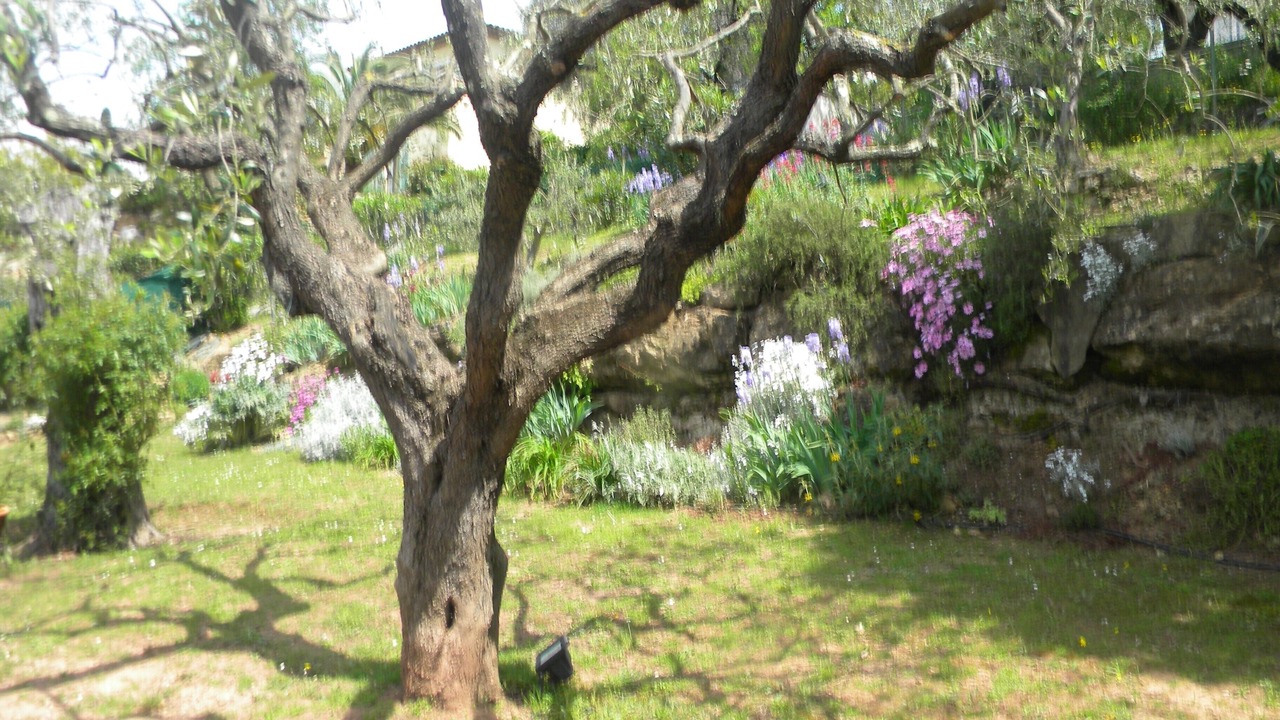 Photo of Outdoor in Mouans-Sartoux