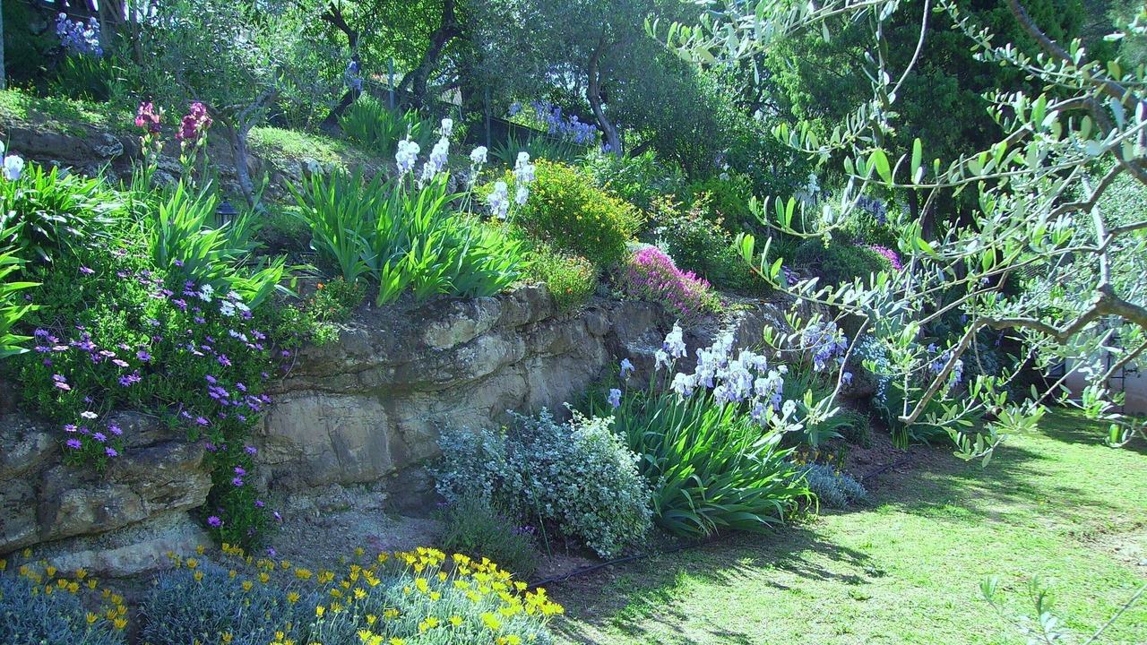 Photo of Outdoor in Mouans-Sartoux