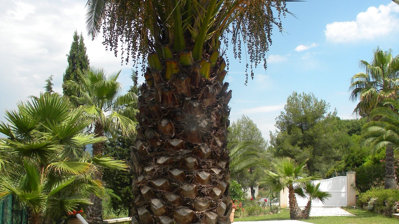 Photo of Outdoor in Mouans-Sartoux