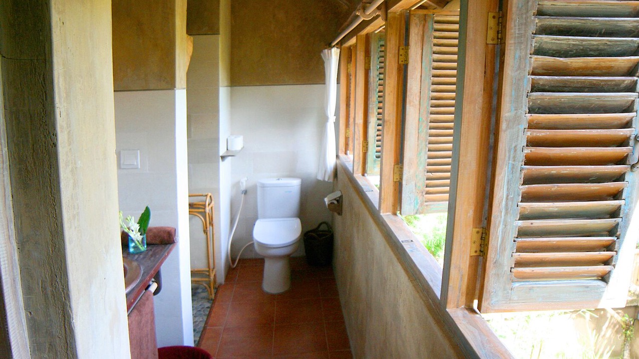 Photo of Bathroom in Petulu