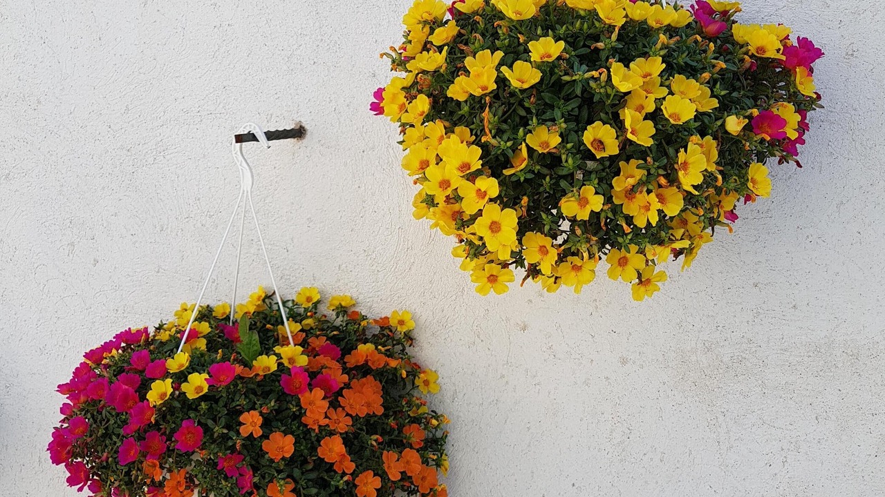 Photo of Outdoor in Villeneuve-Loubet